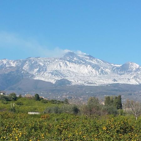 Tulipano 7 Appartamento Mascali Esterno foto