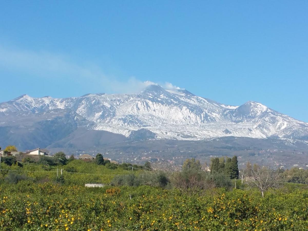 Tulipano 7 Appartamento Mascali Esterno foto